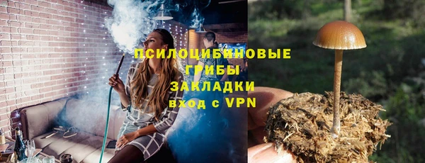амф Балахна