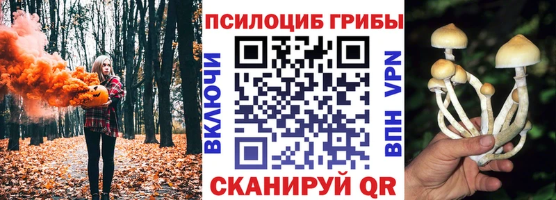 купить наркотик  omg как зайти  Галлюциногенные грибы Cubensis  Афипский 